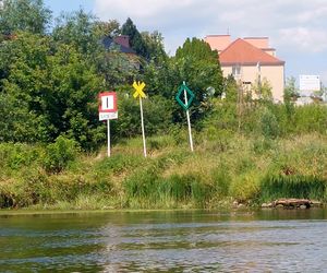 Wisła w Fordonie zaprasza turystów. Można popływać drewnianą łodzią i poczuć tę samą bryzę, co kiedyś flisacy 