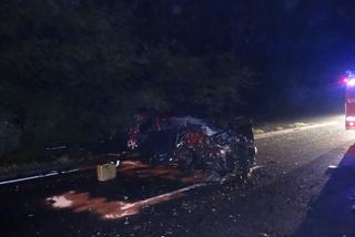 Wypadek na DK88 w Zabrzu: Kierowca uderzył w dzika i wjechał czołowo w drugi samochód