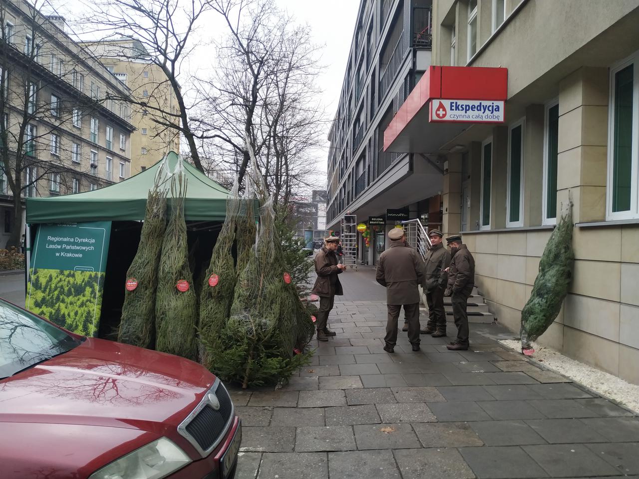 Przyjdź oddać krew i wróć do domu ze świeżutką choinką