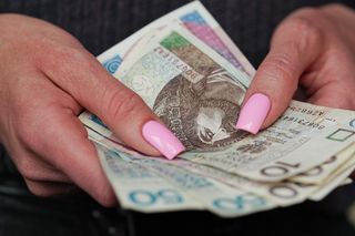 2333 zł miesięcznie dla każdego Polaka. Koniec 800+ i zasiłków? Oto szczegóły rewolucji