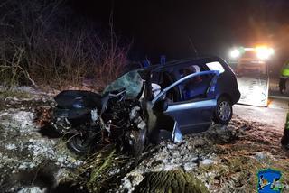 Śmiertelny wypadek Trzebczu Szlacheckim. Nie żyje 37-letni kierowca, który nie miał prawa jazdy