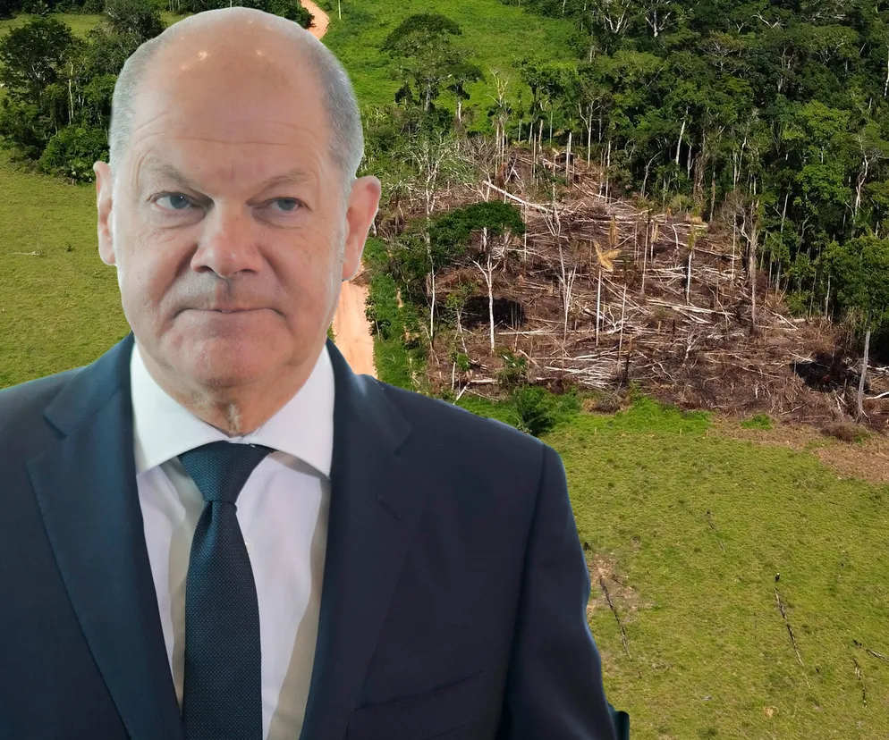 Niemcy chcą być eko kosztem Kolumbii. Znikają lasy deszczowe, umierają dzieci 