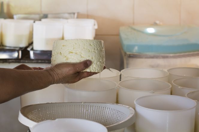 Znasz ten polski ser? Zdrowszy od mozzarelli, poprawia odporność, reguluje ciśnienie
