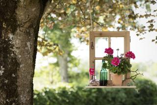 Pelargonie na 1001 sposobów – okno w zawieszeniu