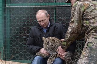 Władymir Putin, Soczi 2014