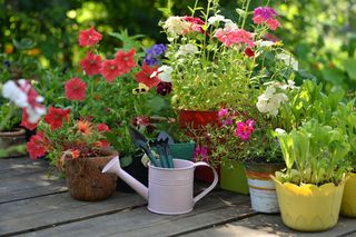 Balkon i taras na początku jesieni