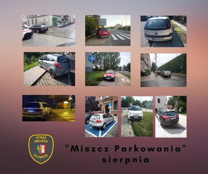 Miszczowie parkowania w Gliwicach 