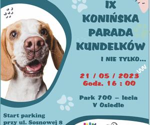 Parada kundelków i nie tylko już wkrótce w Koninie