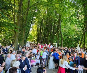 Wzruszający ślub podczas Pielgrzymki Lubelskiej 2025