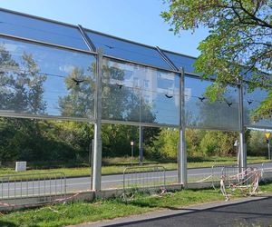 Straty liczone są w dziesiątkach tysięcy złotych