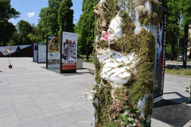 Weekend z florystyką w Lublinie. Zobacz imponujące roślinne instalacje w centrum miasta!