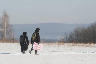 Goryl z kurczakiem przegnali myśliwych