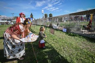 Nadchodzą Jasnogórskie Dożynki i Krajowa Wystawa Rolnicza