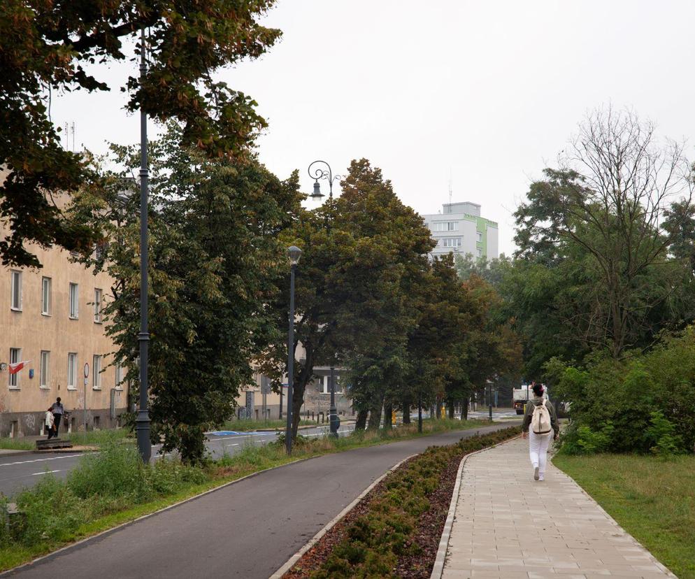 Będzie nowy park w Warszawie! Drogowcy posadzą 170 nowych drzew, tysiące krzewów i trawy ozdobne