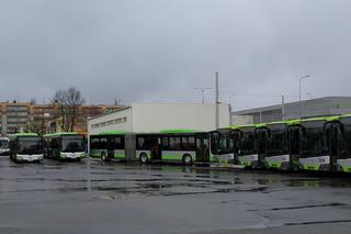Nowe autobusy wyjadą na olsztyńskie ulice [ZDJĘCIA, WIDEO]