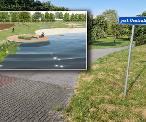 Park Centralny przed wielką zmianą! Zobacz, gdzie powstanie kąpielisko