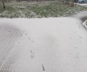 Zima w Poznaniu. Pierwszy śnieg spadł w Wielkopolsce