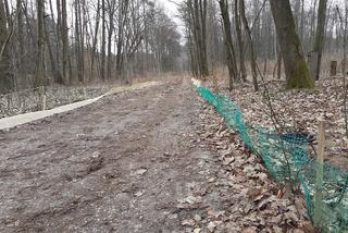 Ochrona żab na Barbarce