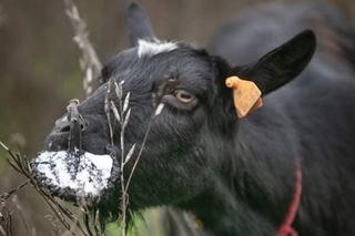 Pierwsze urodziny małego Stefanka