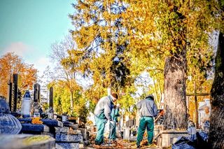 „Pamięć, szacunek, resocjalizacja” – więźniowie posprzątali na Cmentarzu Centralnym w Siedlcach