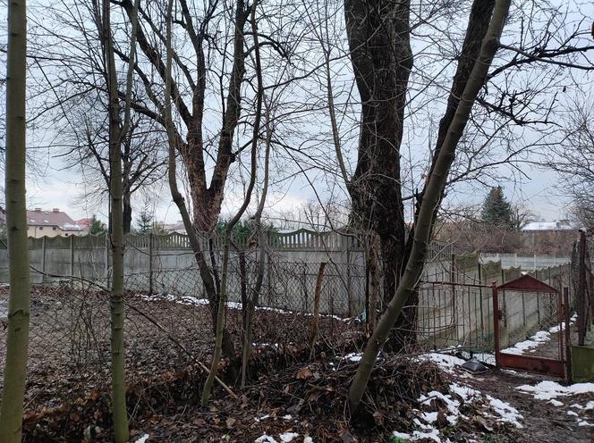Zwłoki kobiety znalezione przy domu zakonnym. Siostry czuły fetor, szokujące zeznania sąsiadki