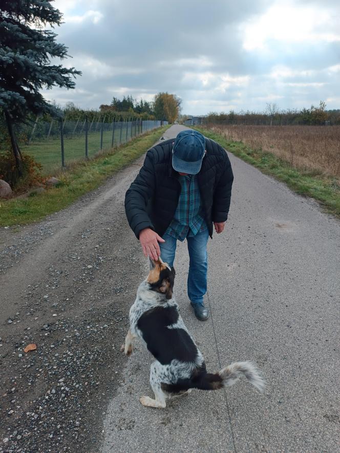 Gacek znalazł się w pułapce. Uratowała go suczka Roksana