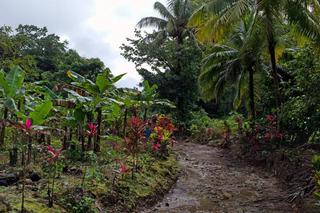 Dominica - fot. Pawel Motawa (4)