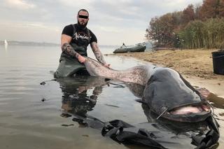  Zanim walczył w MMA, łapał grube ryby. Przeszłość Apteki zaskakuje!