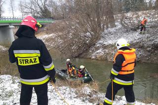 Podkarpackie: Wyszedł na spacer i zaginął! Tragiczny finał poszukiwań 63-latka