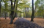 Park Lubomirskich w Białymstoku jesienią 