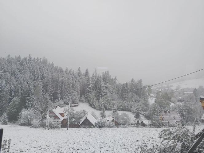 Śląskie. ZIMA w maju! Zimna Zośka zawitała do Beskidu Śląskiego [ZDJĘCIA]