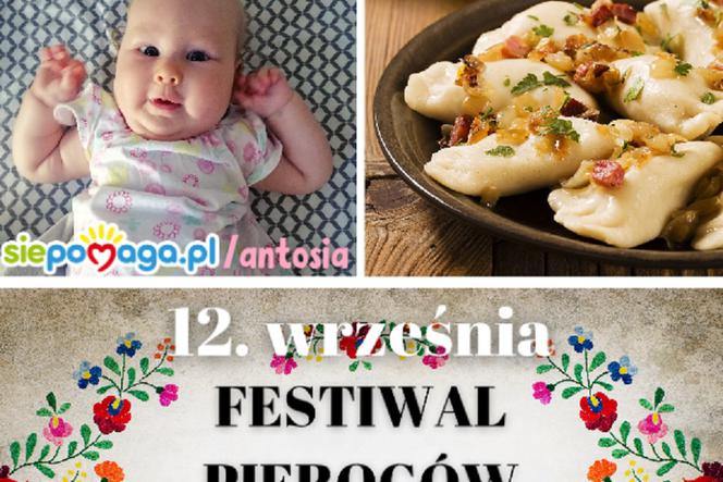 Festiwal Pierogów w Siedlcach. Przyjdź i pomóż Antosi [AUDIO]