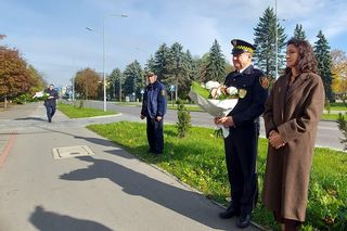 Upamiętnie daru krwi Krok za krokiem