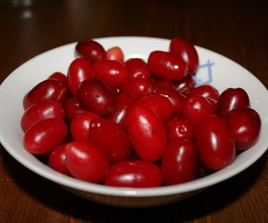 Nalewka z derenia - właściwości. Jak zrobić dereniówkę? Na co pomaga? Przepis