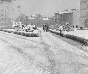 Rzeszów na archiwalnych fotografiach