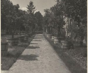 Zespół pałacowo-parkowy Klemensów-Park