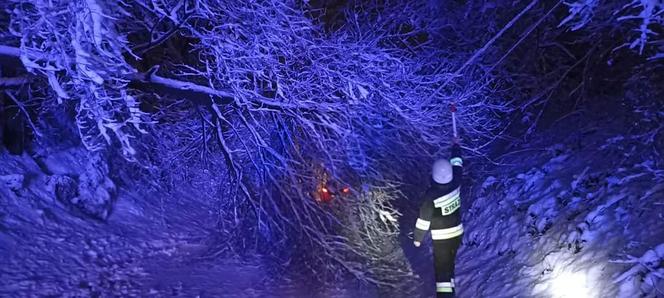 Ponad 300 interwencji strażaków w Tarnowie i regionie