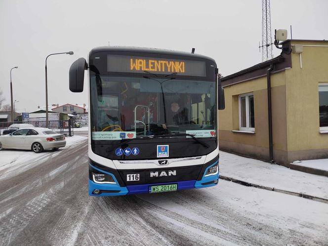 "Zakochany autobus" linii nr 18 można spotkać na ulicach Siedlec tylko w walentynki 2025!