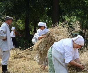 Tak wyglądało kiedyś żniwowanie na polskiej wsi