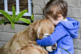 Golden retrievery to psy bardzo cierpliwe i odpowiedzialne, więc są idealnymi kompanami dla dzieci.