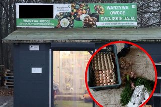 Obrabowali warzywniak. Ich łupem padły jajka, miód, warzywa, a nawet... koperek