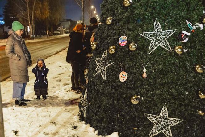 Dzielnicowe choinki w Gdańsku już świecą