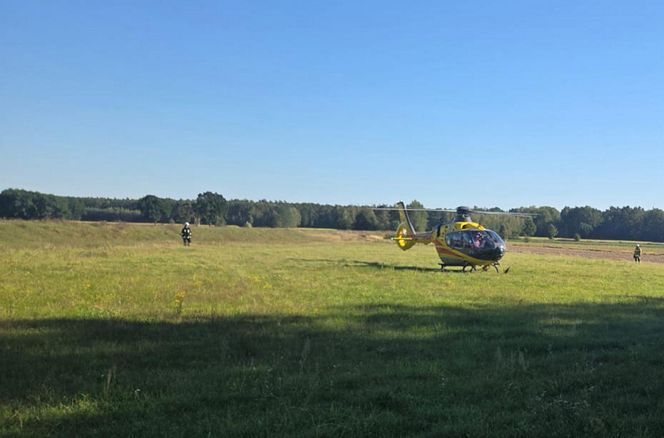Tragedia na drodze. Wjechał w krowę motocyklem. Zwierzę nie żyje, lądował śmigłoiwec LPR
