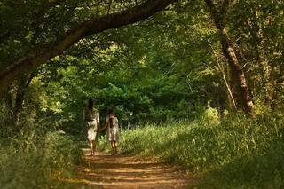 Gigantyczny spór o Park Naturalny Wrzosowisko. Ogromne emocje podczas sesji Rady Miasta Torunia