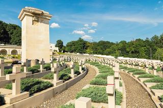 Ożywiające w miarę umierania