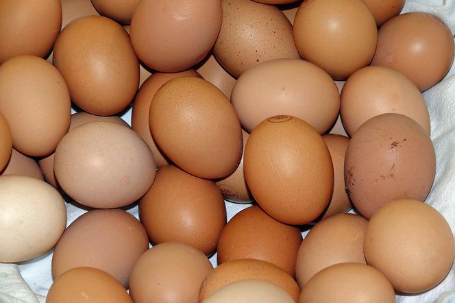 Świeże jajka, drób i mięso drobiowe znów można kupować na gorzowskich targowiskach