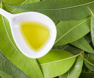 Ta maść działa na twarz jak laser. Zrobisz ją sama w domu