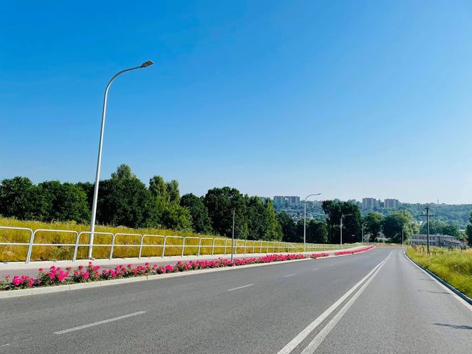 Starachowice. To najbardziej ukwiecone miasto świętokrzyskiego