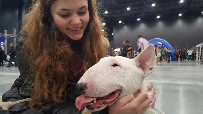 Międzynarodowa Wystawa Psów Rasowych w Bydgoszczy