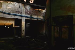 Opuszczona fabryka papieru w Boruszowicach